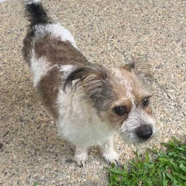 Photo of Fergus 