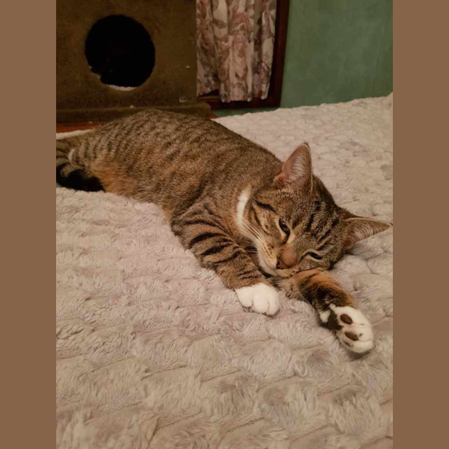 Photo of Luna