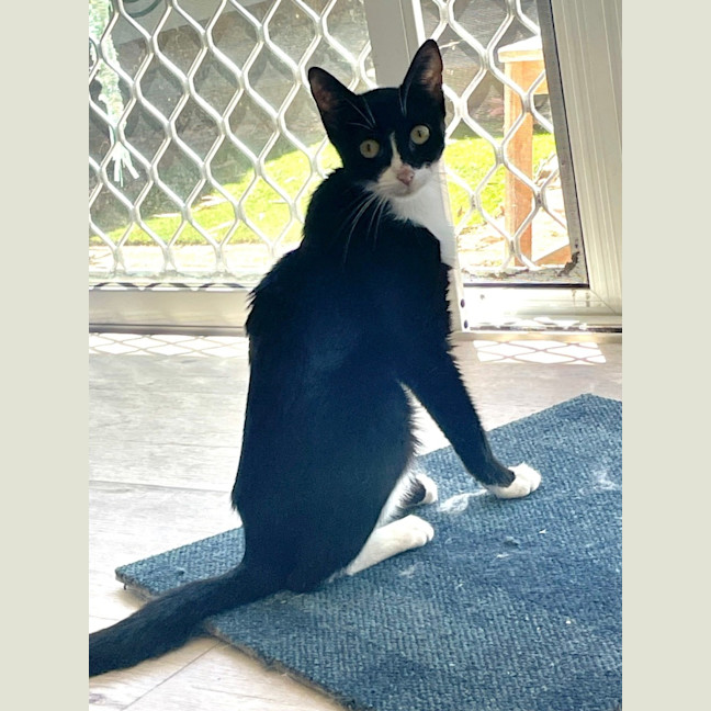 Photo of Carol (8905)