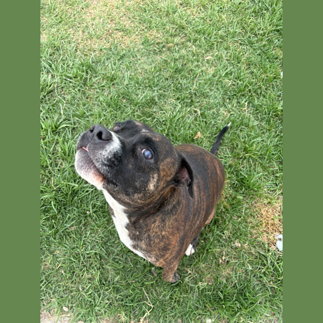 Photo of Lola