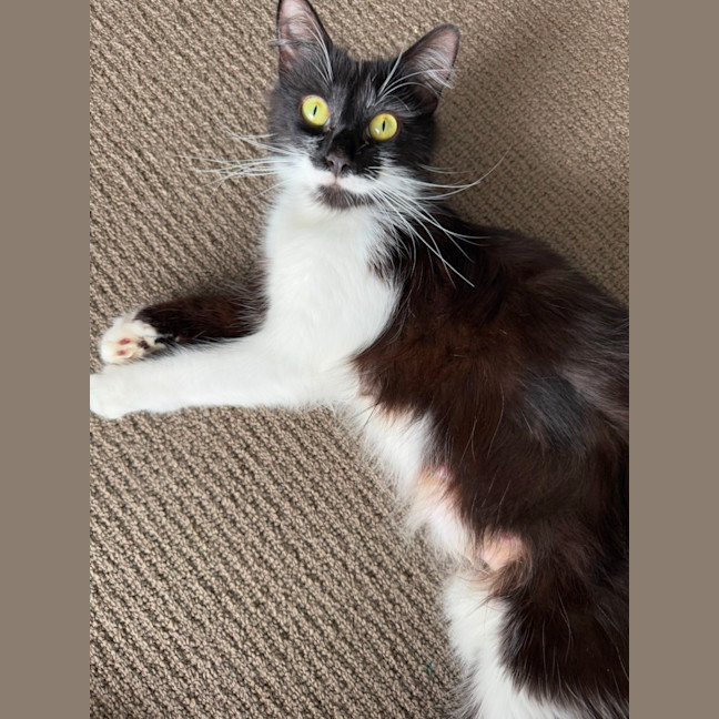 Photo of Polly