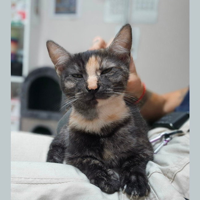 Photo of Miss Pink (0197)