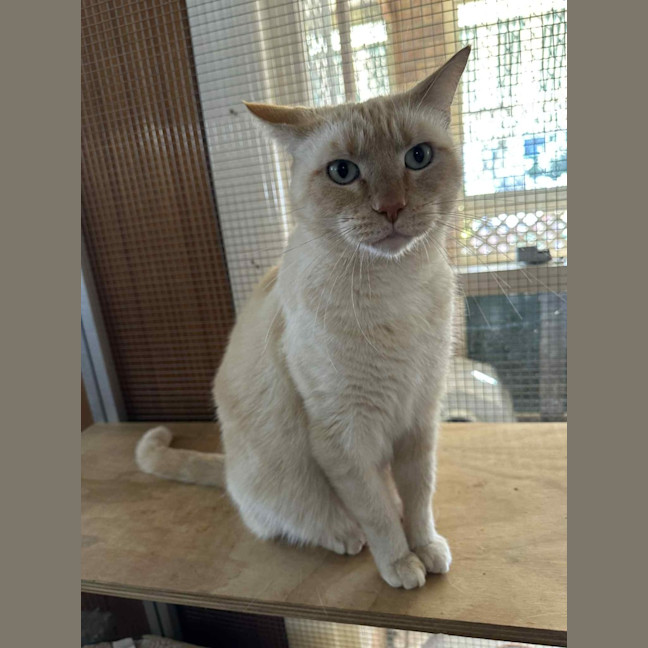 Photo of Jessie James