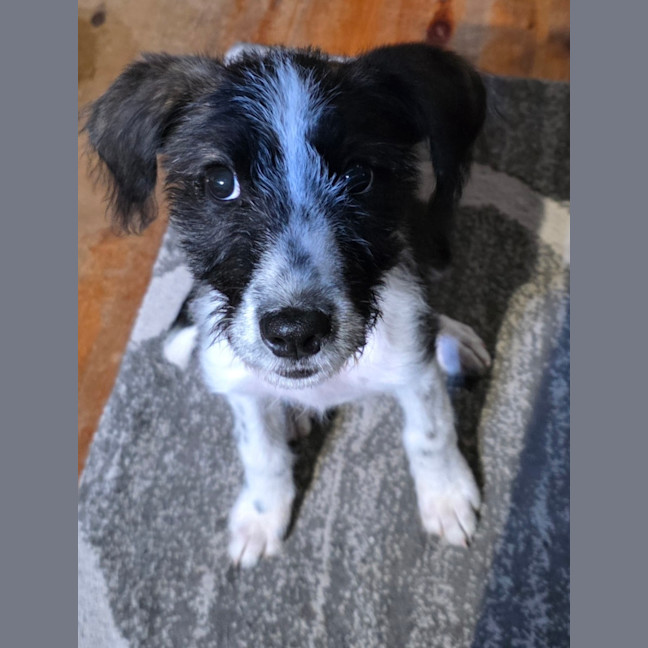 Photo of Maggie