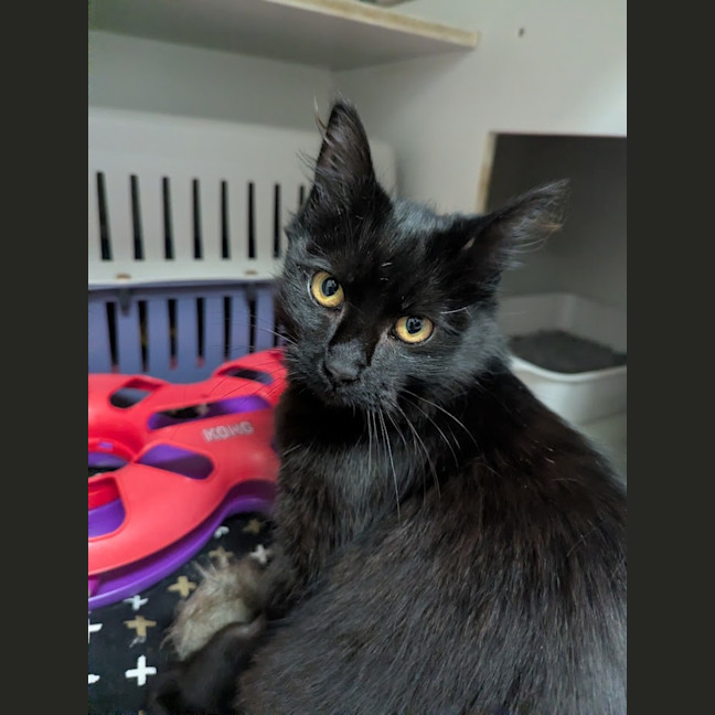 Photo of Liesl