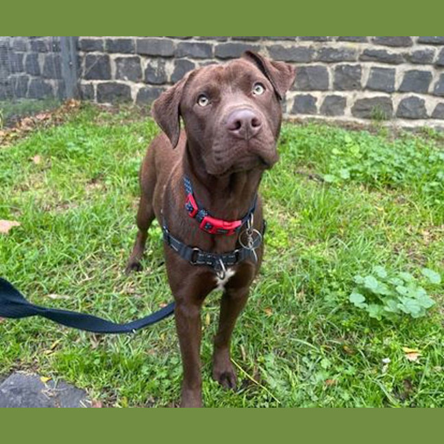 Photo of Kaia