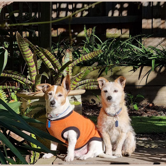 Photo of Barney And Bruzier