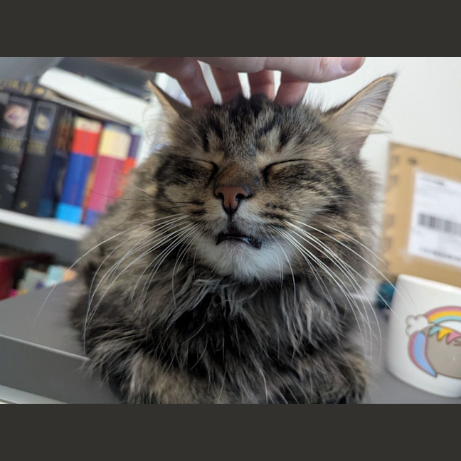 Photo of Wax & Wayne