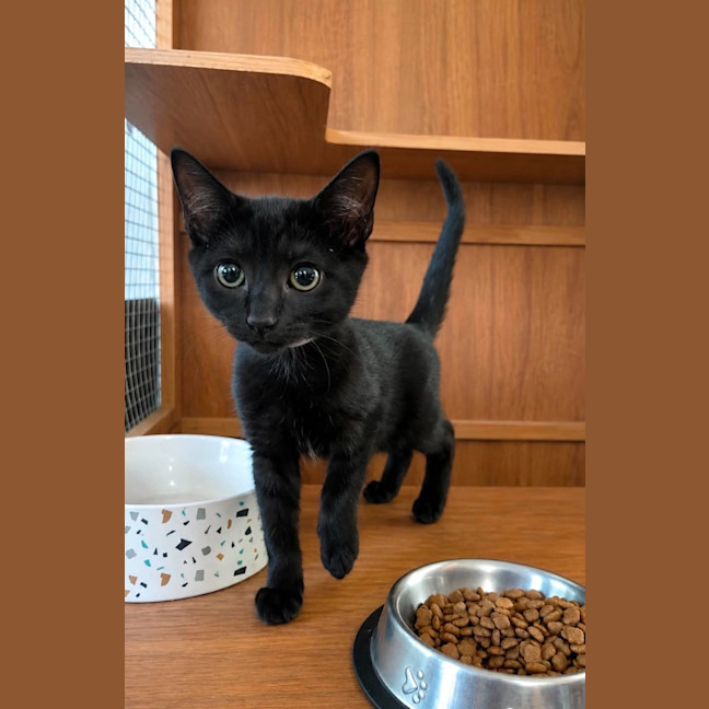 Photo of Little Miss Magic