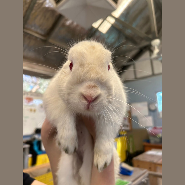 Photo of Sookie Lala Larry