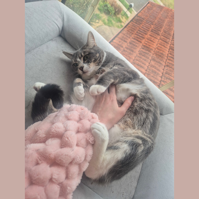 Photo of Pixie