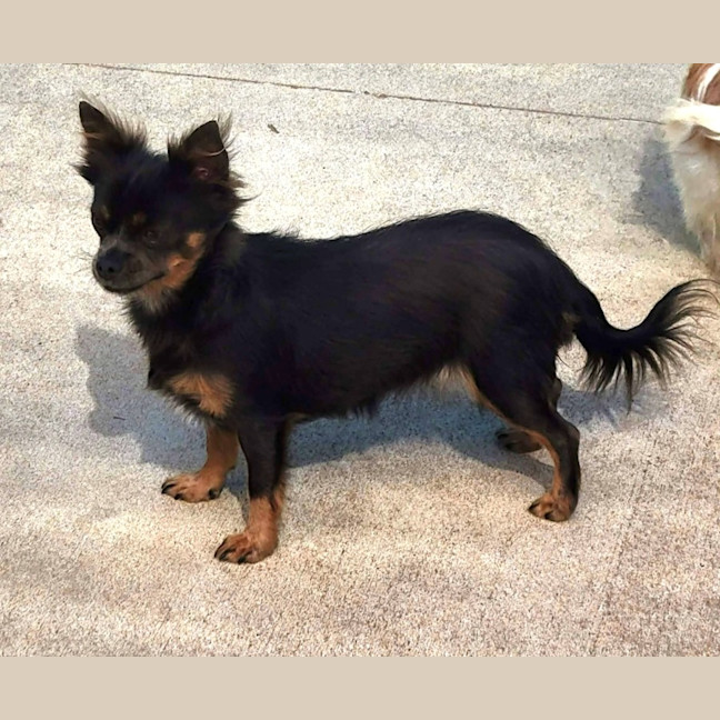 Photo of Evie