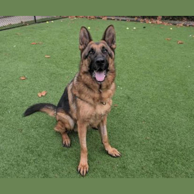 Photo of Zeus