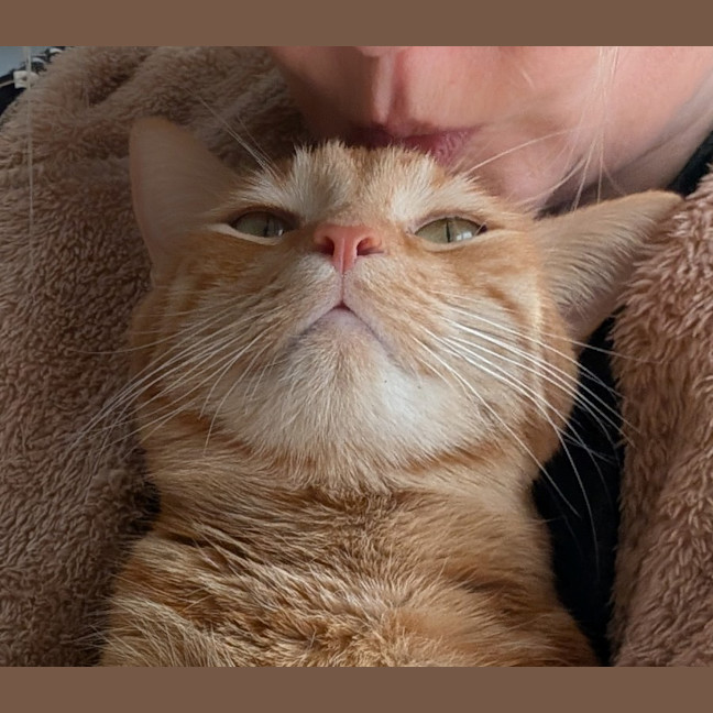Photo of Toby