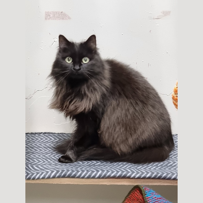 Photo of Bell