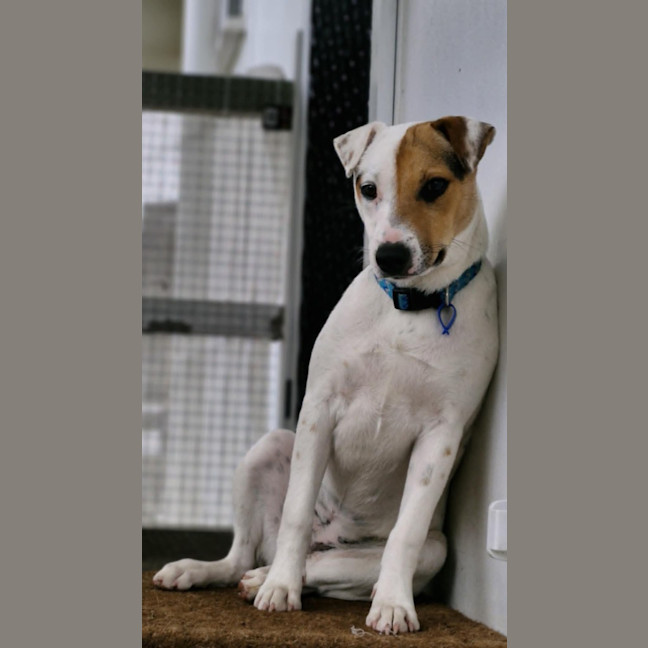Photo of Polly 3