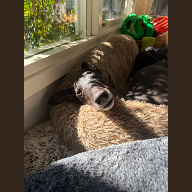 Photo of Chloe 