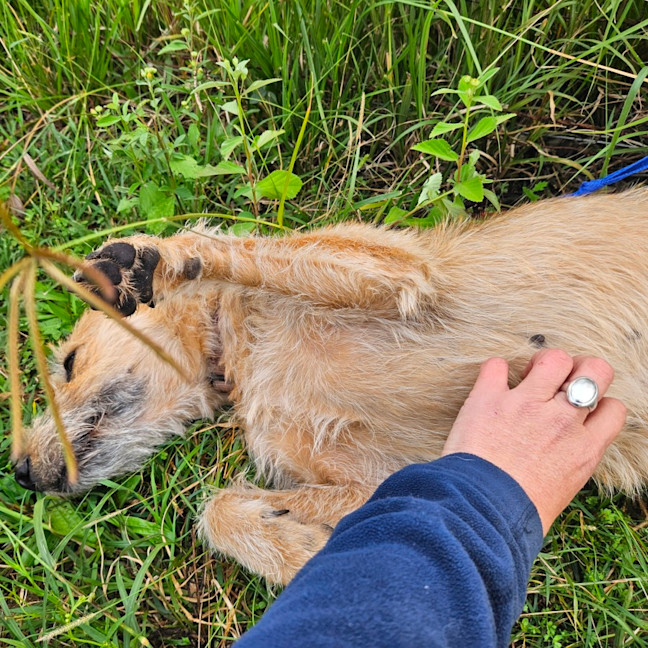 Photo of Betty