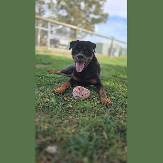 Photo of Bob