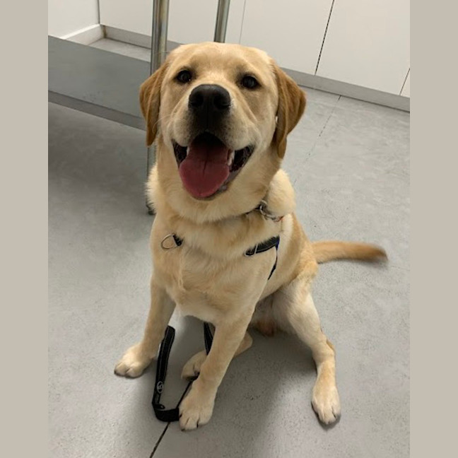 Photo of Jeffrey 'Good Boy' Jones
