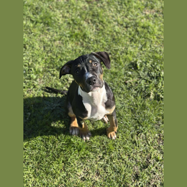 Photo of 🧭 Freddie 6359 🧭