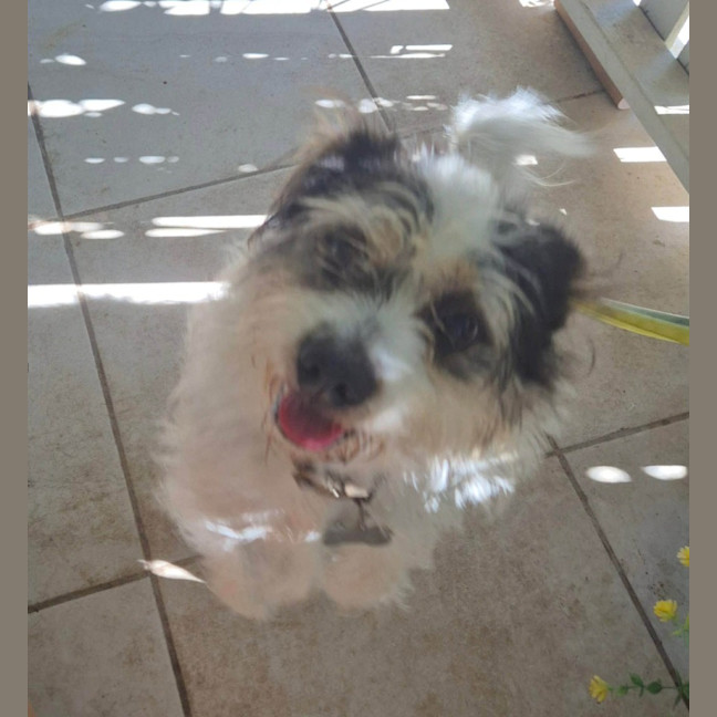 Photo of Cooper
