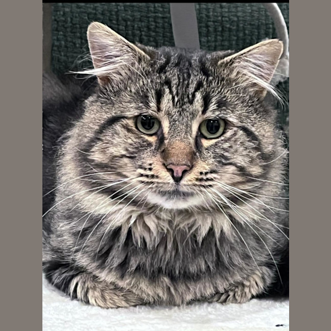 Photo of Sebastian 