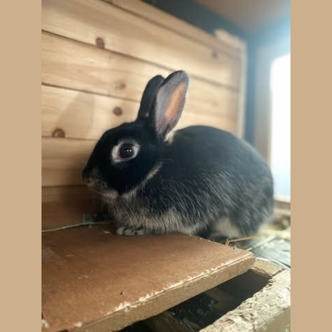 Photo of Matilda