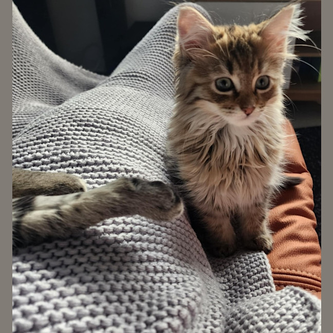 Photo of Salsa   Located In Melbourne