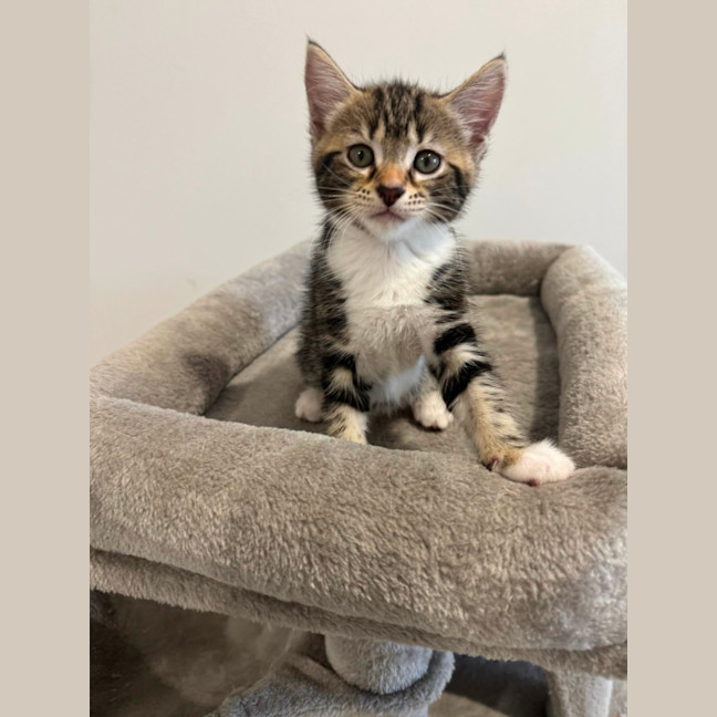 Photo of Zoe 