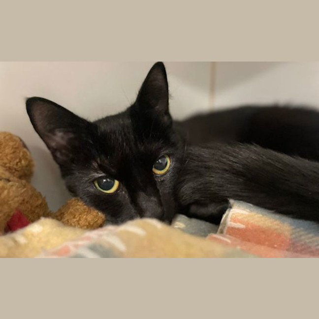 Photo of Jinx