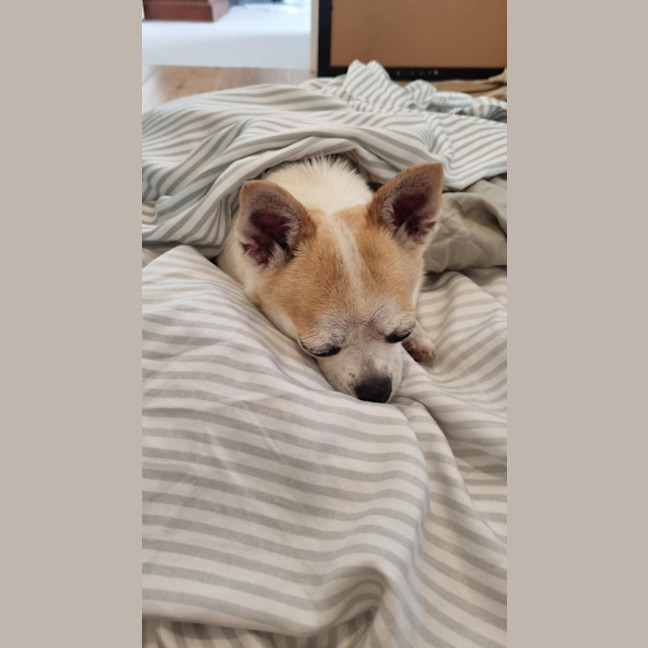 Photo of Pablo