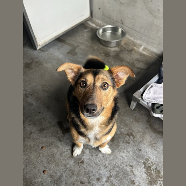 Photo of Wally
