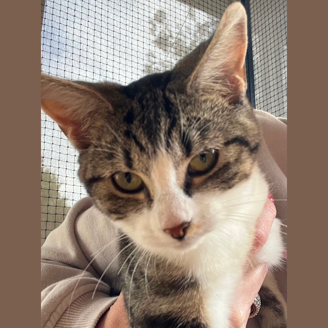 Photo of Moon Meet Me @Petstock Chelsea