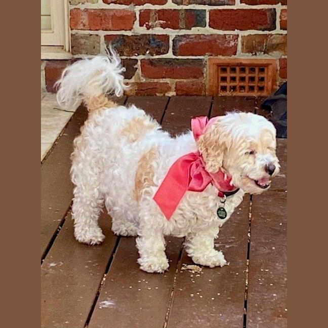 Photo of Bella Wensleydale