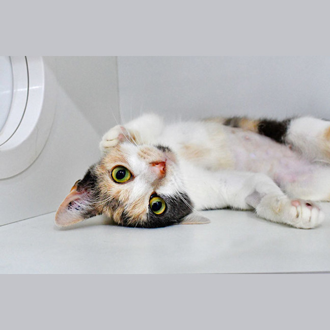 Photo of Catalie Portman