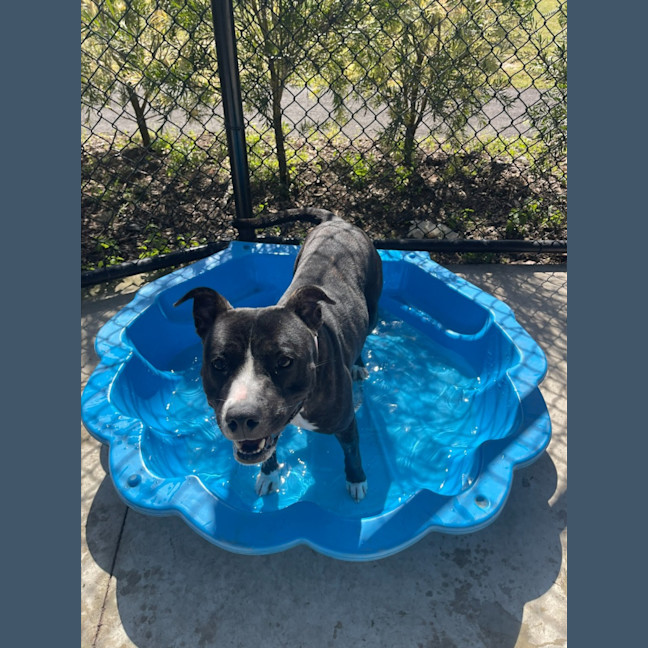 Photo of Enid Imp 1344