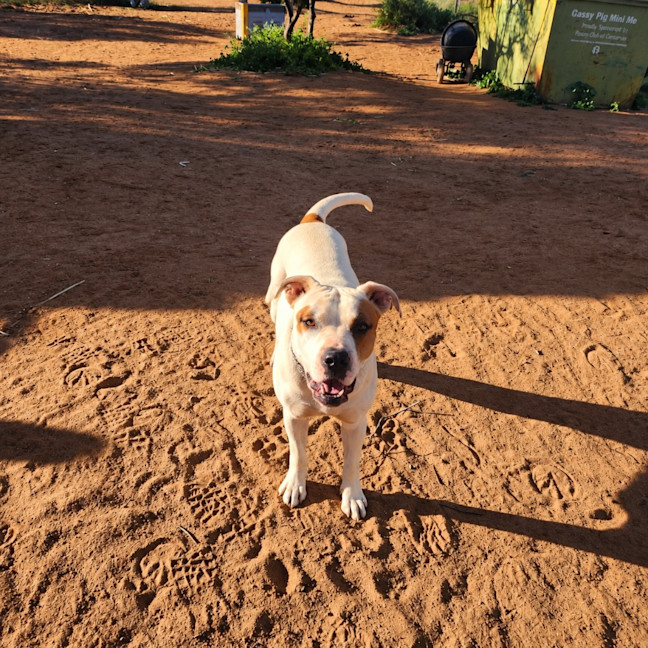 Photo of Missie