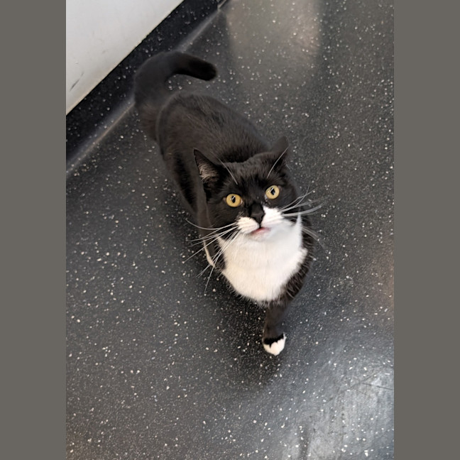 Photo of Wednesday
