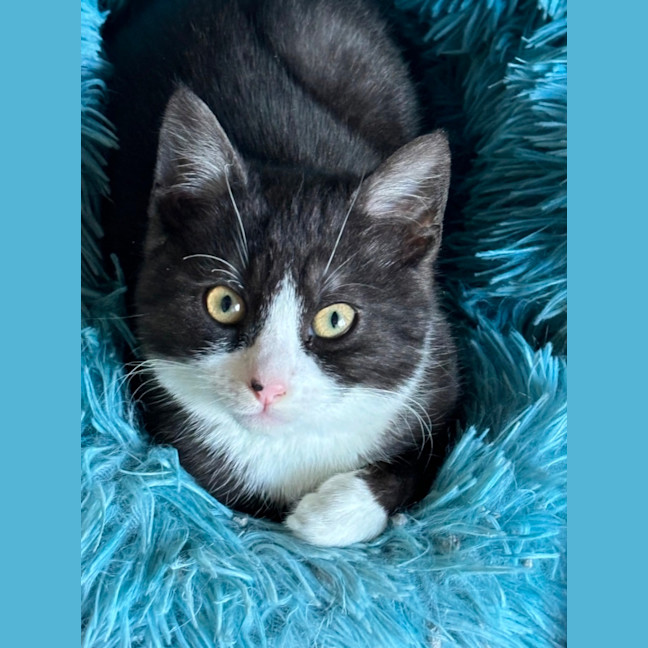 Photo of Pinky