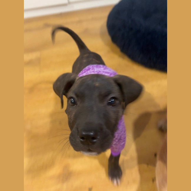 Photo of Freya