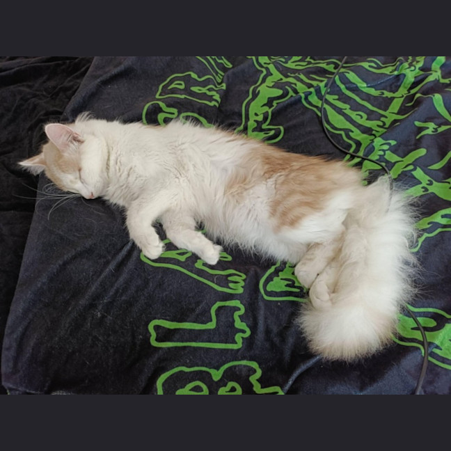 Photo of Dj