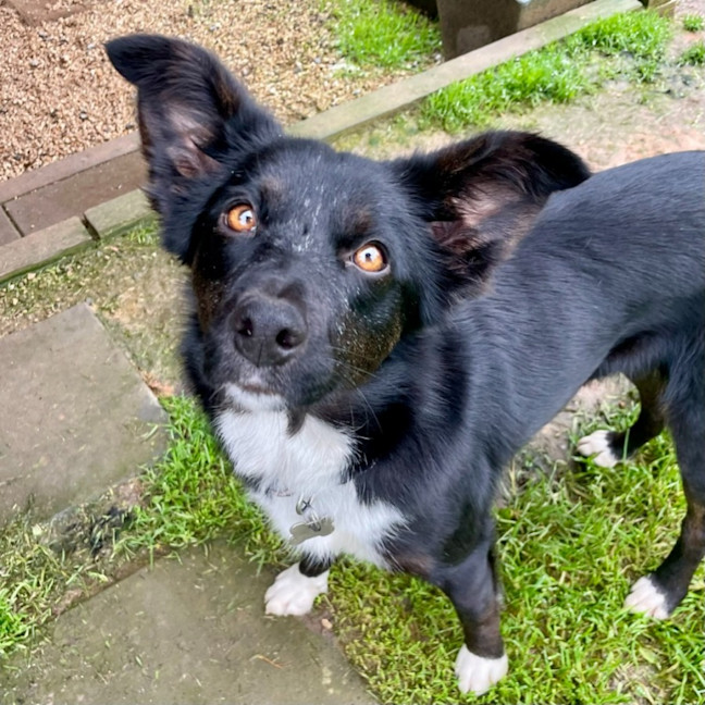 Photo of Milly