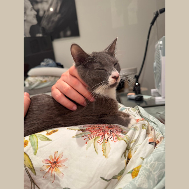 Photo of Cora