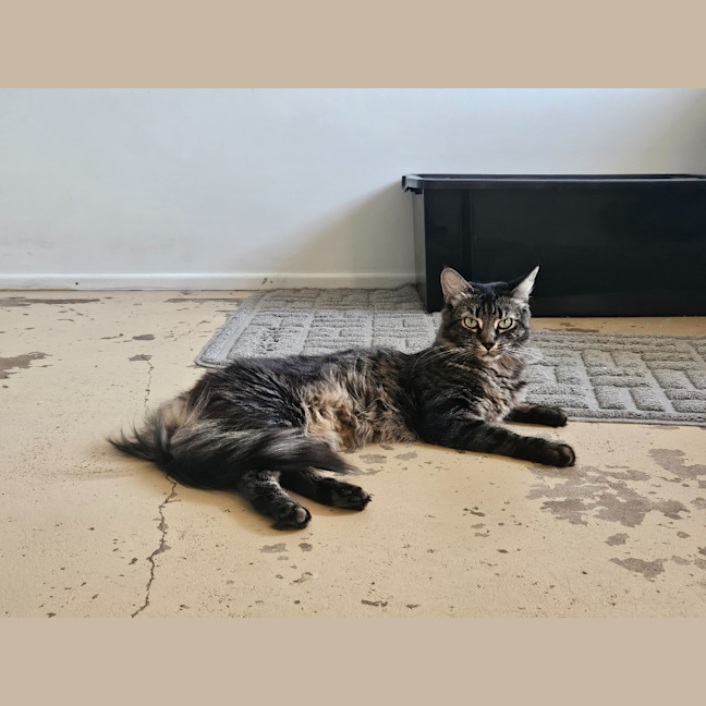 Photo of Mia
