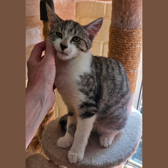 Photo of Clyde