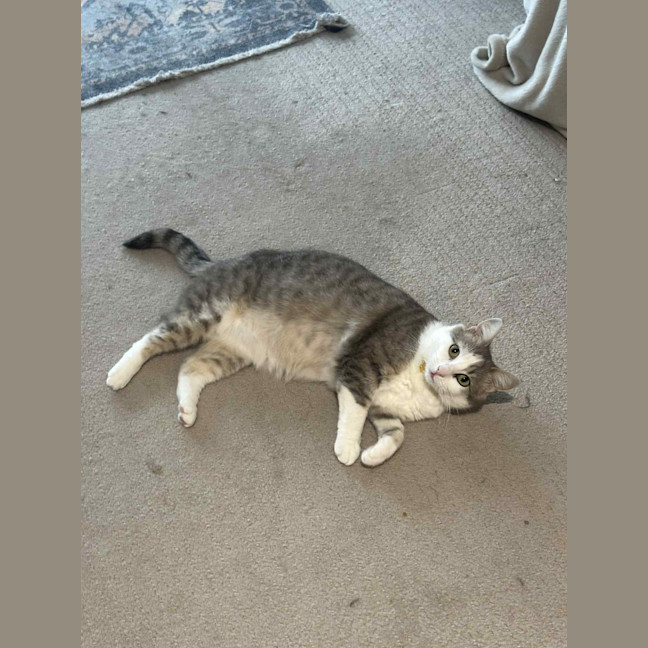 Photo of Penelope