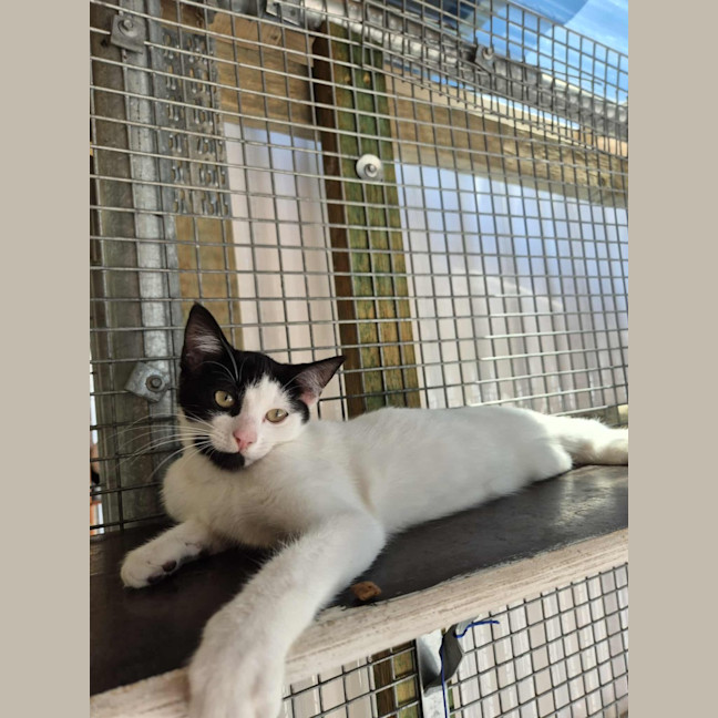 Photo of Cowgirl! 🤠