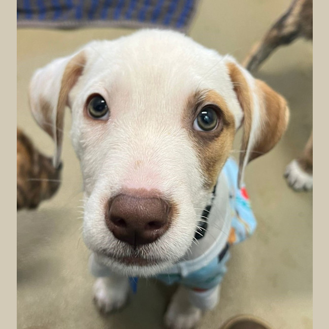 Photo of Bobbi