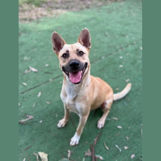 Photo of Lola